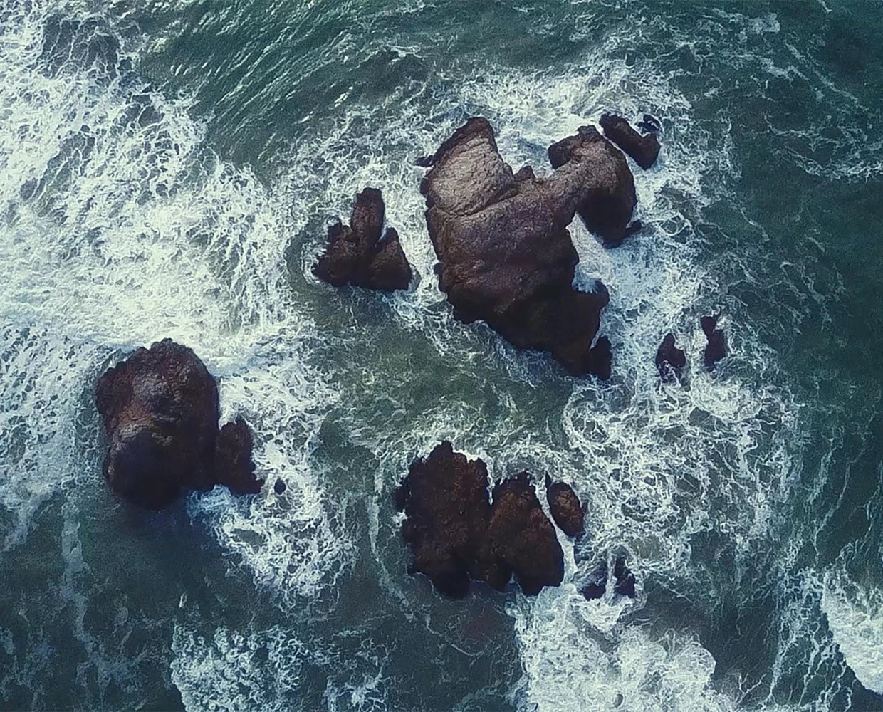 Healthy Gut: Was ein gesunder Darm im Alltag bedeutet – und wie Nährstoffe unterstützen